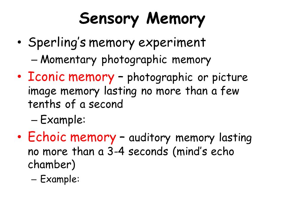 Echoic memory